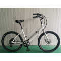 Belt Drive Aluminum Road Bike